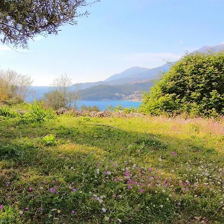 Hotel Emi Hotel Himare